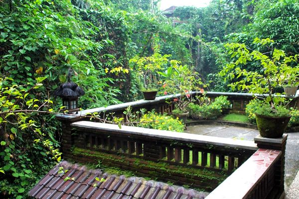Click here to return to the Bali story.
